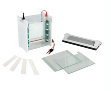 Réservoir d'électrophorèse vertical FSF-SCZ6 +